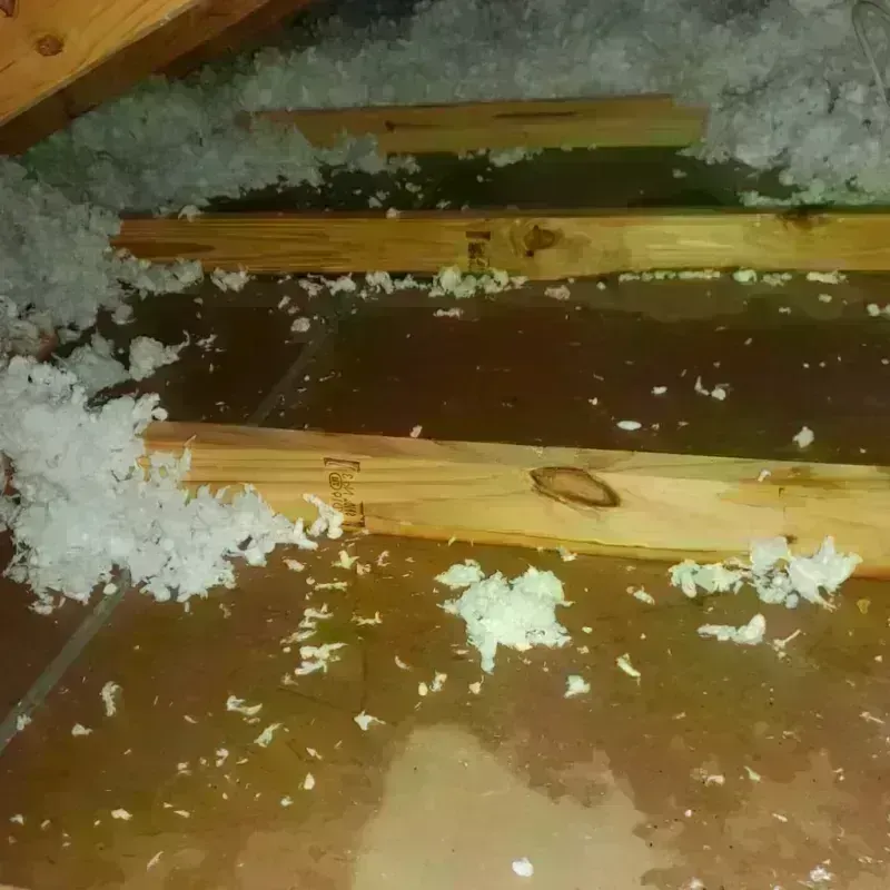 Attic Water Damage in Gadsden, SC