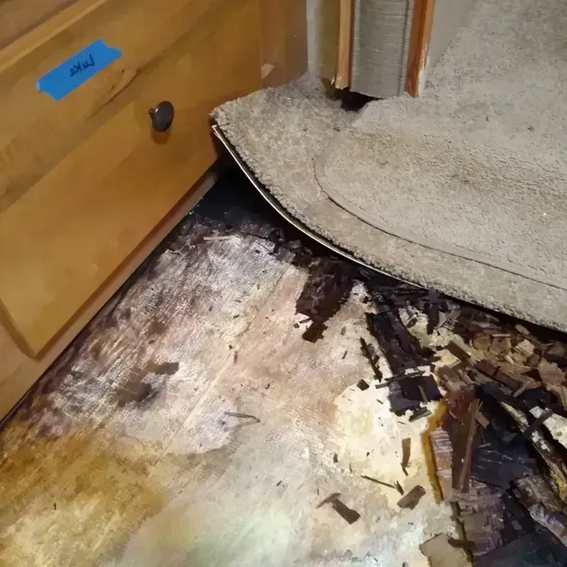 Wood Floor Water Damage in Gadsden, SC